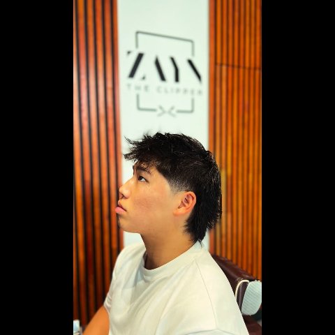 Zayn portfolio