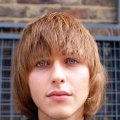 Dom portfolio
