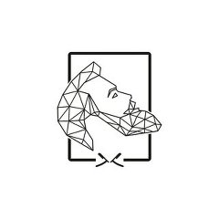 Zayn portfolio