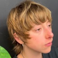 Tino portfolio