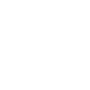 The Guild
