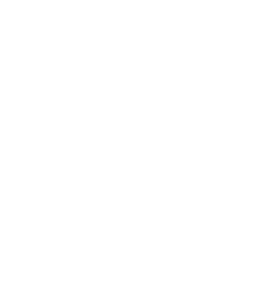 Iron Born