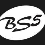 BS 5