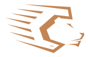 Capillus