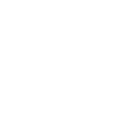 Willow