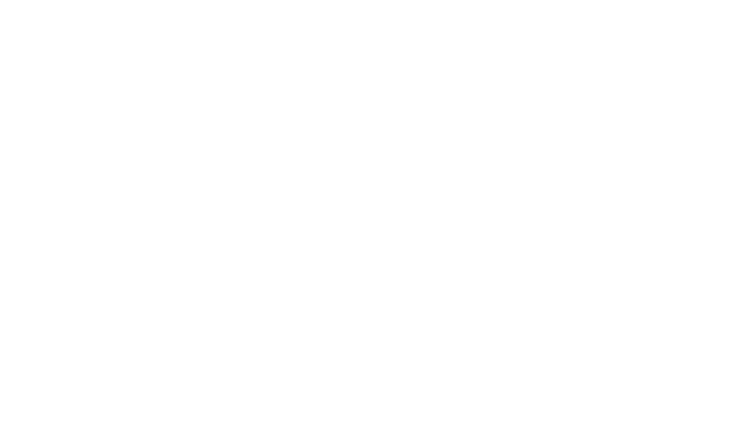 The Director's Cut