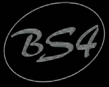 BS 4 Gornal
