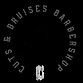 Cuts & Bruises